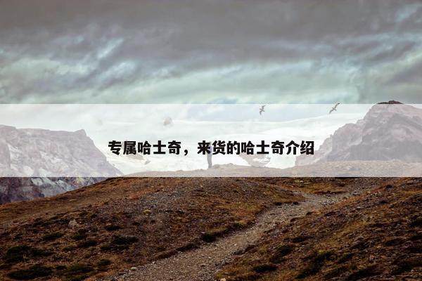 专属哈士奇，来货的哈士奇介绍