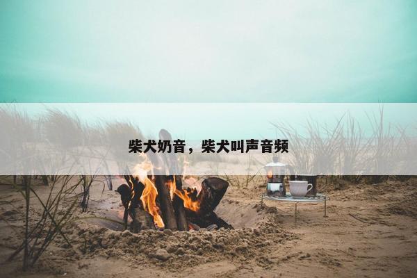 柴犬奶音，柴犬叫声音频