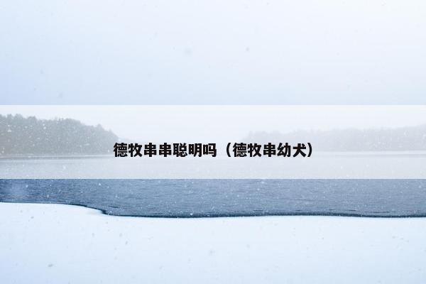 德牧串串聪明吗（德牧串幼犬）