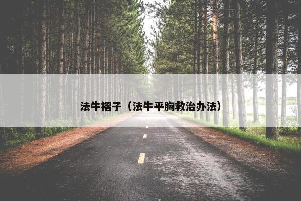 法牛褶子（法牛平胸救治办法）