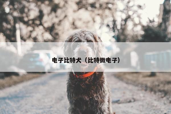 电子比特犬（比特微电子）