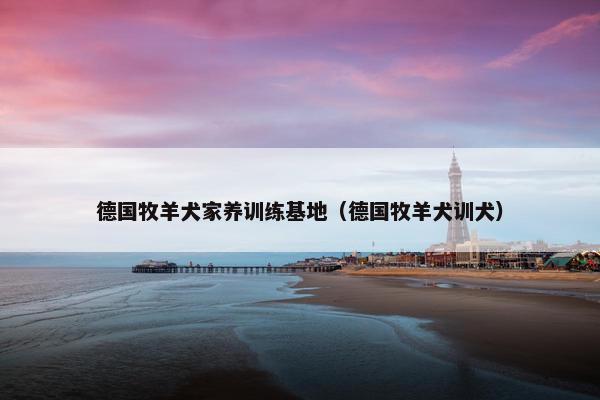 德国牧羊犬家养训练基地（德国牧羊犬训犬）
