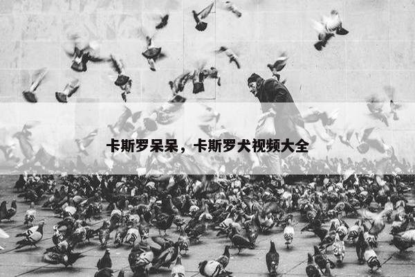 卡斯罗呆呆，卡斯罗犬视频大全