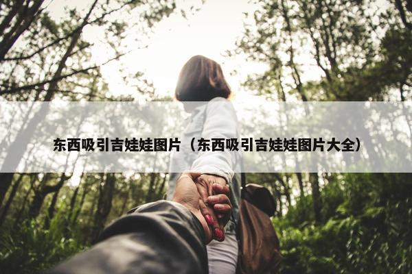 东西吸引吉娃娃图片（东西吸引吉娃娃图片大全）