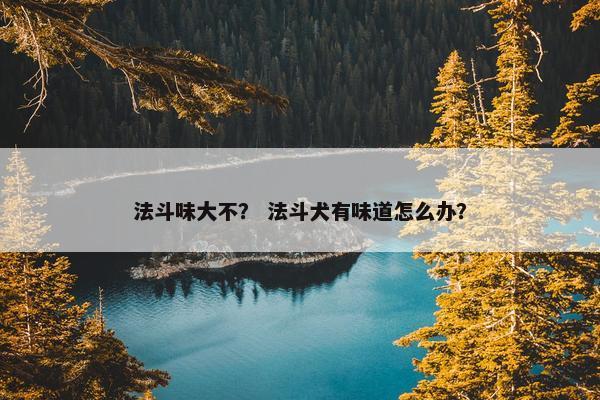 法斗味大不？ 法斗犬有味道怎么办？