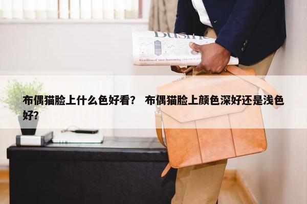 布偶猫脸上什么色好看？ 布偶猫脸上颜色深好还是浅色好？