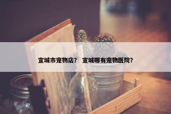 宣城市宠物店？ 宣城哪有宠物医院？