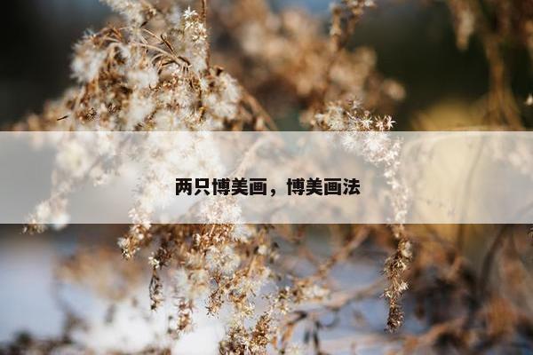 两只博美画，博美画法
