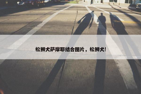 松狮犬萨摩耶结合图片，松狮犬!