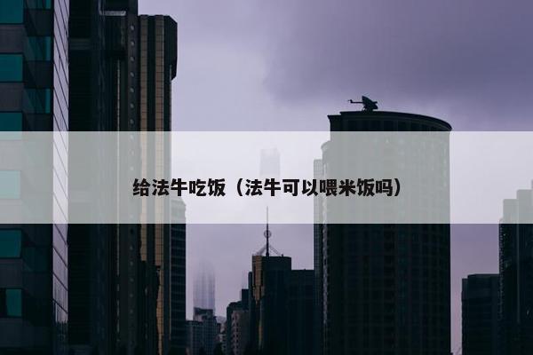 给法牛吃饭（法牛可以喂米饭吗）