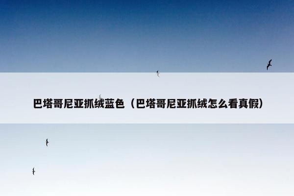 巴塔哥尼亚抓绒蓝色（巴塔哥尼亚抓绒怎么看真假）