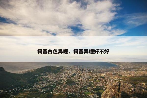 柯基白色异瞳，柯基异瞳好不好
