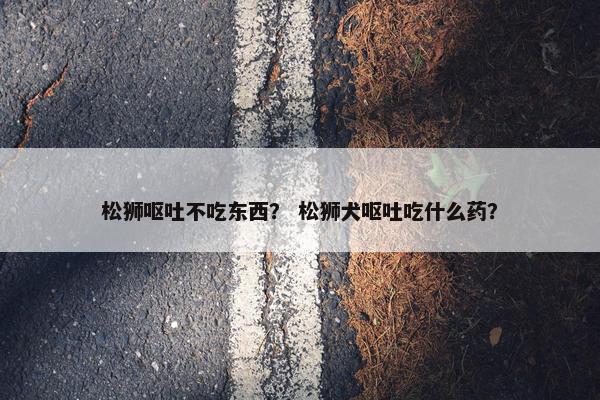 松狮呕吐不吃东西？ 松狮犬呕吐吃什么药？