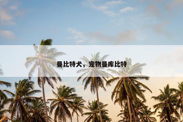 曼比特犬，宠物曼库比特