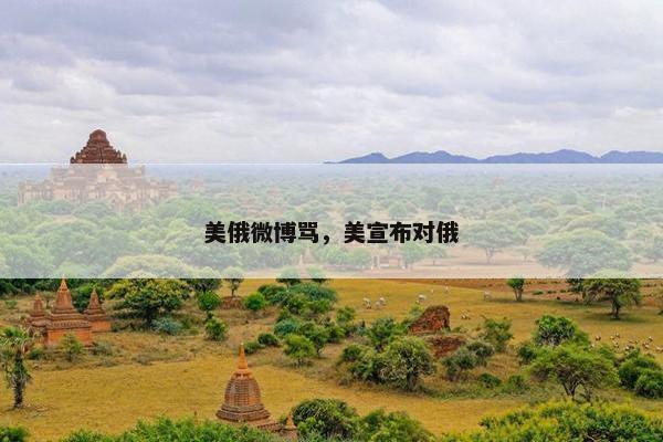 美俄微博骂，美宣布对俄