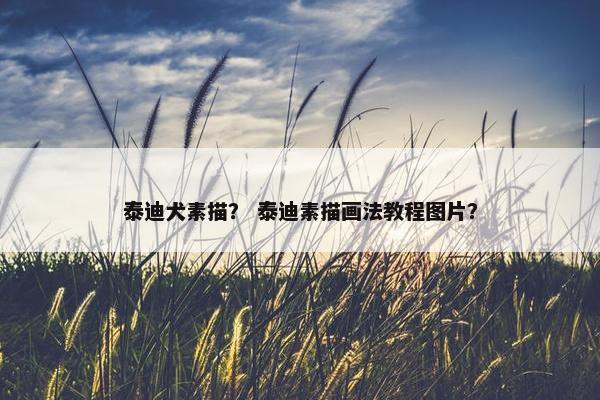泰迪犬素描？ 泰迪素描画法教程图片？