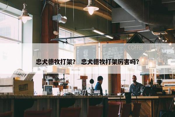 忠犬德牧打架？ 忠犬德牧打架厉害吗？