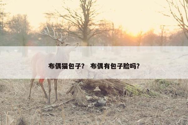 布偶猫包子？ 布偶有包子脸吗？
