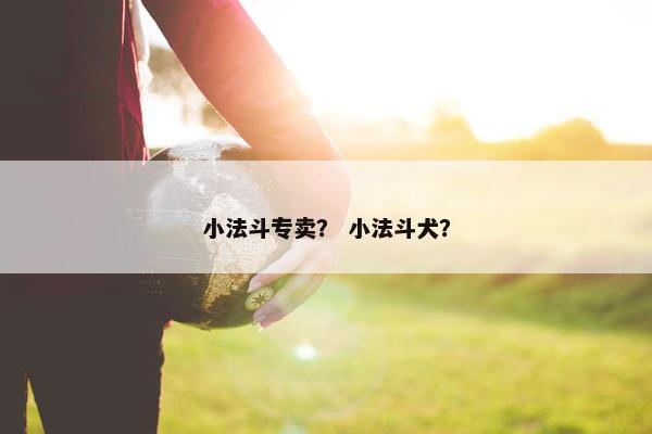 小法斗专卖？ 小法斗犬？