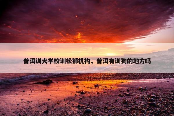 普洱训犬学校训松狮机构，普洱有训狗的地方吗