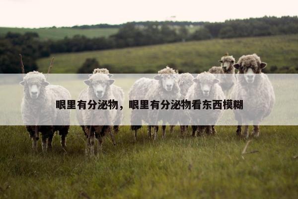 眼里有分泌物，眼里有分泌物看东西模糊