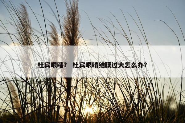 杜宾眼瞎？ 杜宾眼睛结膜过大怎么办？