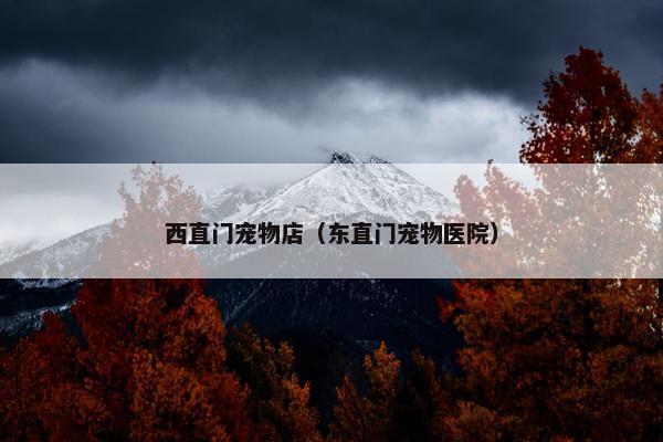 西直门宠物店（东直门宠物医院）