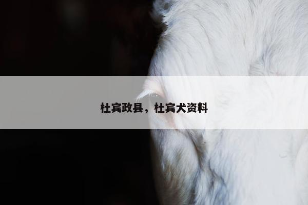 杜宾政县，杜宾犬资料