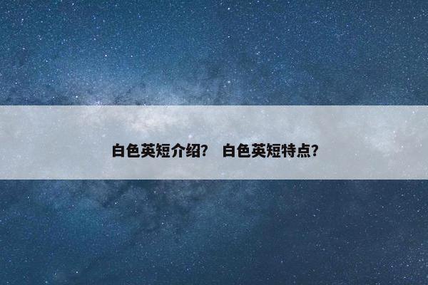 白色英短介绍？ 白色英短特点？