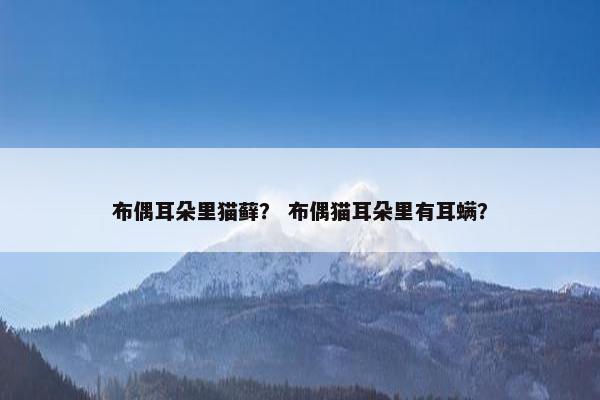 布偶耳朵里猫藓？ 布偶猫耳朵里有耳螨？