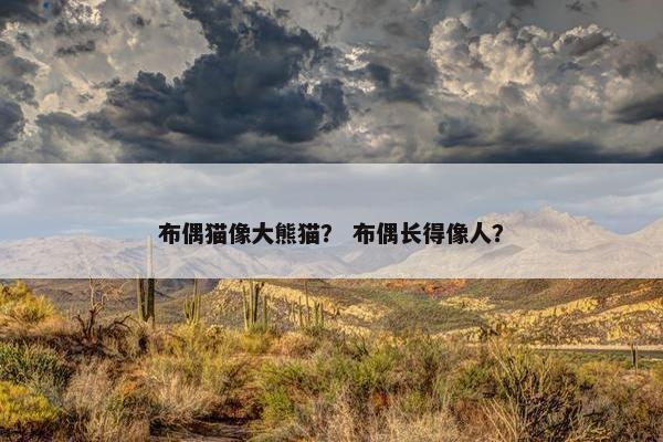 布偶猫像大熊猫？ 布偶长得像人？