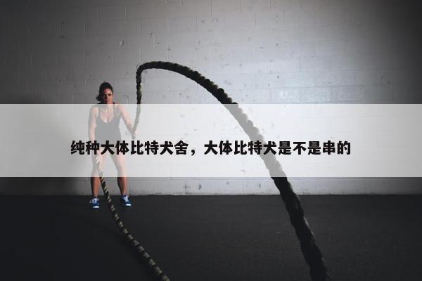 纯种大体比特犬舍，大体比特犬是不是串的