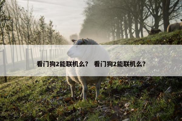 看门狗2能联机么？ 看门狗2能联机么？