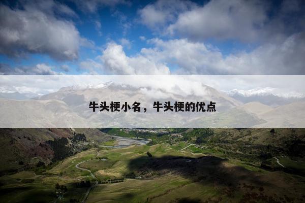 牛头梗小名，牛头梗的优点