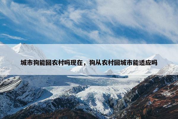 城市狗能回农村吗现在，狗从农村回城市能适应吗