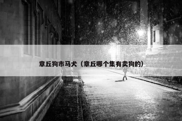 章丘狗市马犬（章丘哪个集有卖狗的）