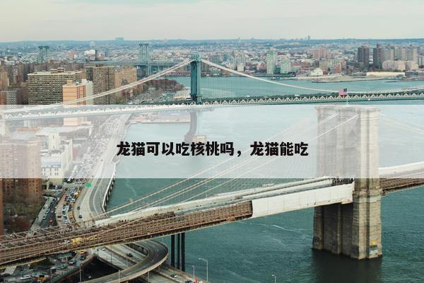 龙猫可以吃核桃吗，龙猫能吃
