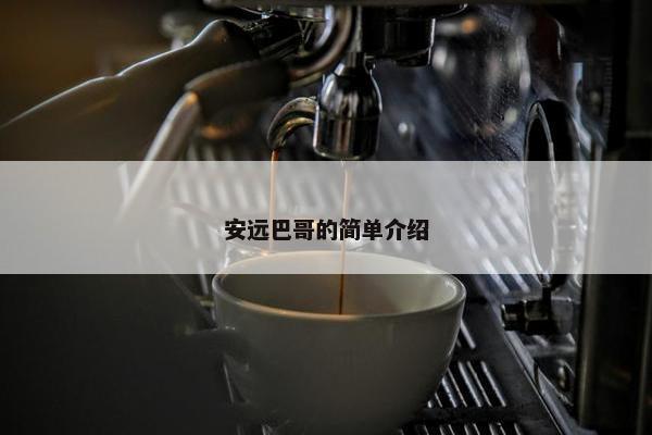 安远巴哥的简单介绍