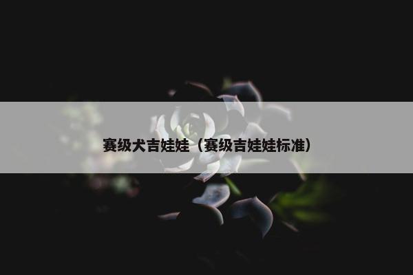 赛级犬吉娃娃（赛级吉娃娃标准）