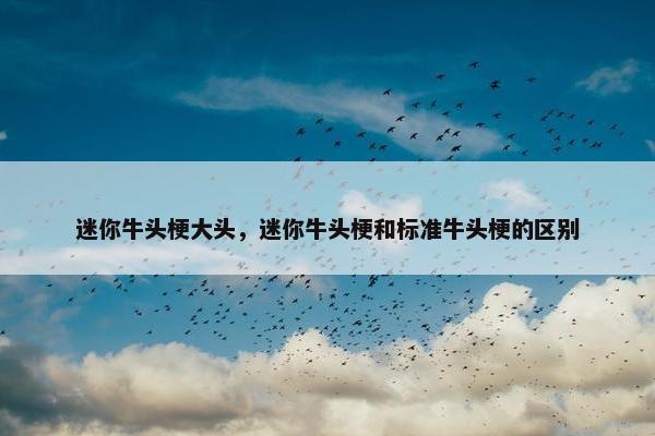 迷你牛头梗大头，迷你牛头梗和标准牛头梗的区别