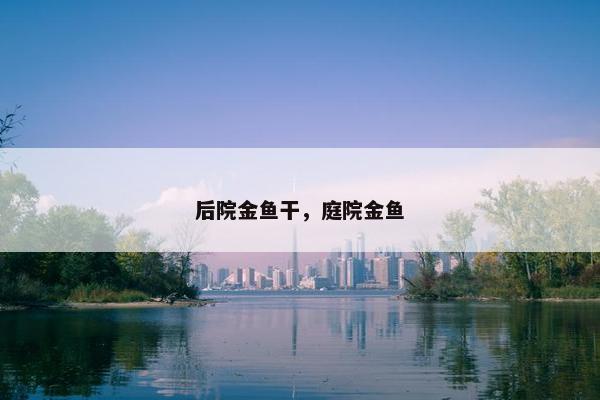 后院金鱼干，庭院金鱼