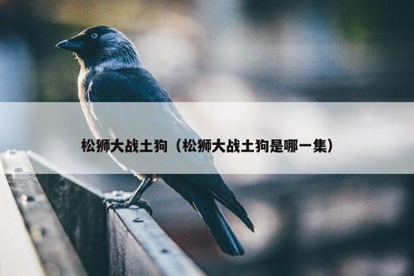 松狮大战土狗（松狮大战土狗是哪一集）