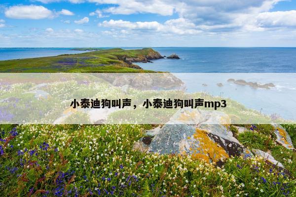 小泰迪狗叫声，小泰迪狗叫声mp3
