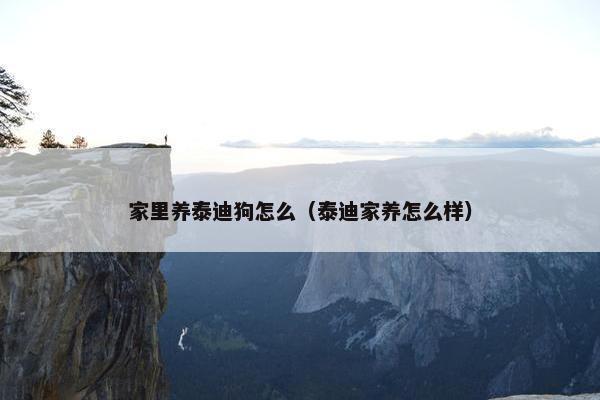 家里养泰迪狗怎么（泰迪家养怎么样）