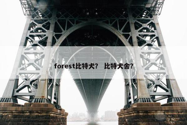 forest比特犬？ 比特犬舍？