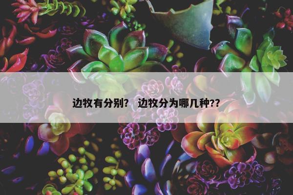 边牧有分别？ 边牧分为哪几种?？