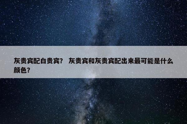 灰贵宾配白贵宾？ 灰贵宾和灰贵宾配出来最可能是什么颜色？