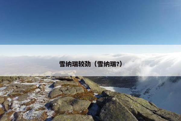 雪纳瑞较劲（雪纳瑞?）
