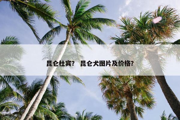 昆仑杜宾？ 昆仑犬图片及价格？