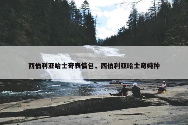 西伯利亚哈士奇表情包，西伯利亚哈士奇纯种